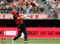 用实际行动 用实际行动